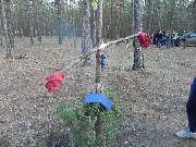 DSCN0082.JPG
