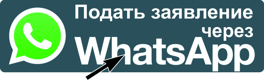 чат.jpg